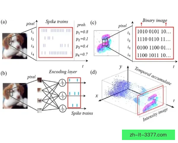 全面解析F1训练方法的科学原理及实战策略