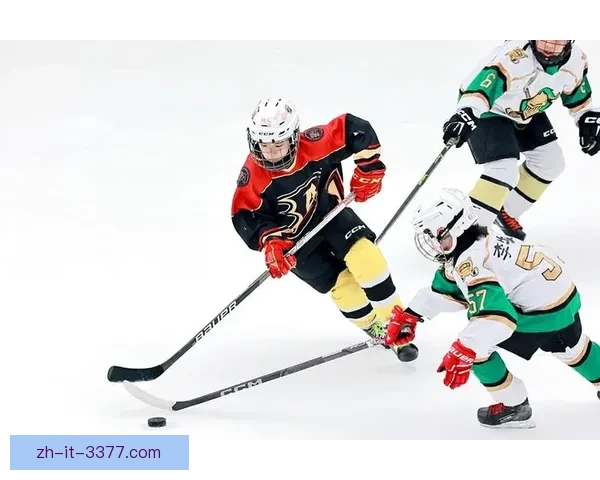 冰球赛事精彩回放，尽在一触即看