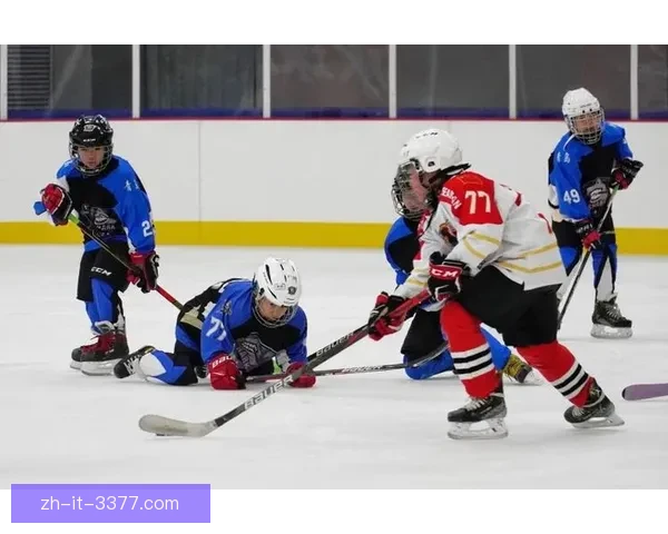 冰球演绎:速度与激情的冰上对决 冰球演绎:速度与激情的冰上对决