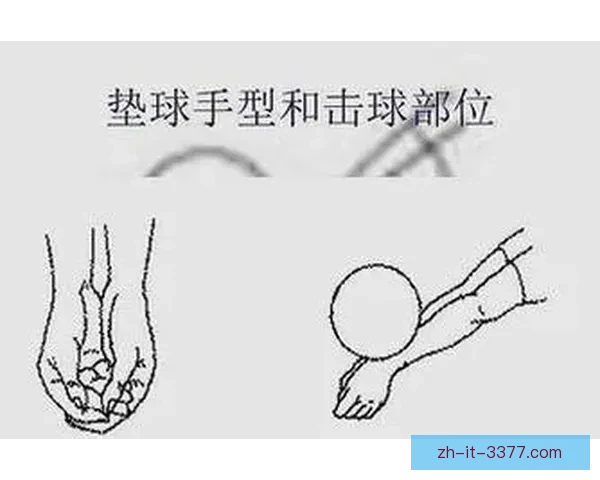 学习排球初级技巧及规则要点