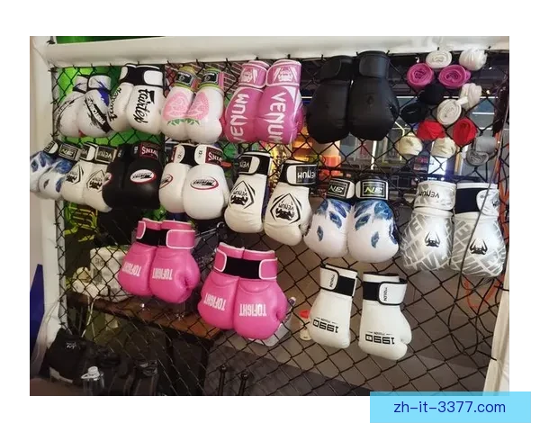 学拳击,从零开始,技巧讲解详尽 学拳击,从零开始,技巧讲解详尽