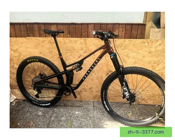 山地车入门指南：骑行新手如何选择、购买和使用山地自行车