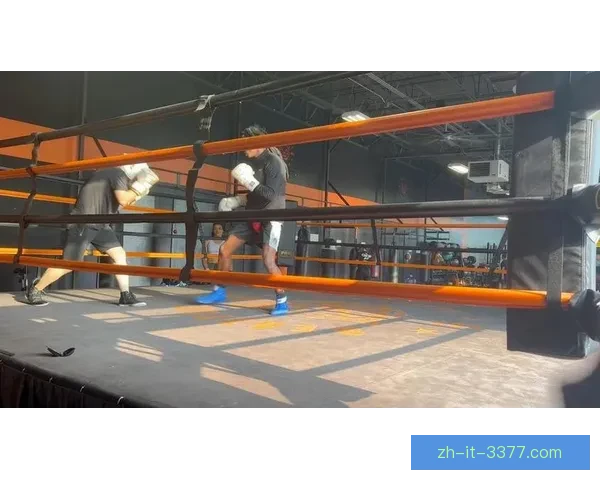 拳击竞技规则解读与技巧分享