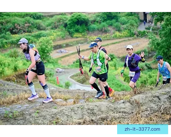 探索极限挑战：迎接越野跑排名的挑战