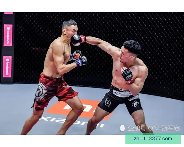 柔道公开赛：搏击技艺的盛宴