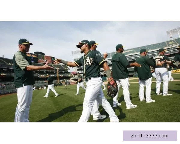 棒球投注技巧：提升胜率的秘诀揭秘