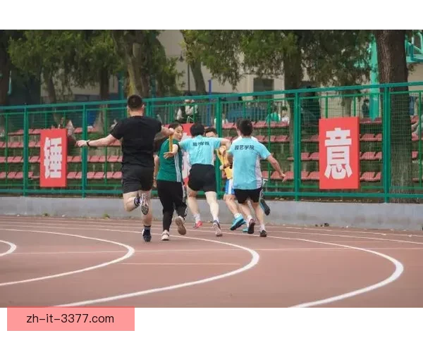 柔道训练法则：打造坚韧意志与身体的完美融合