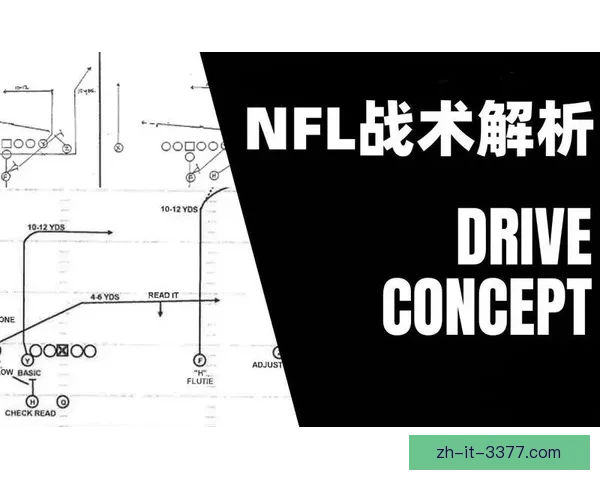 橄榄球精要：技巧与战术全面解析