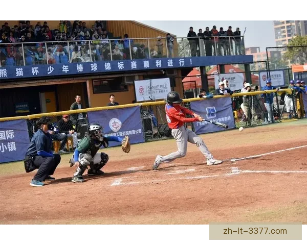 竞技热力碰撞：棒球杯赛新风采
