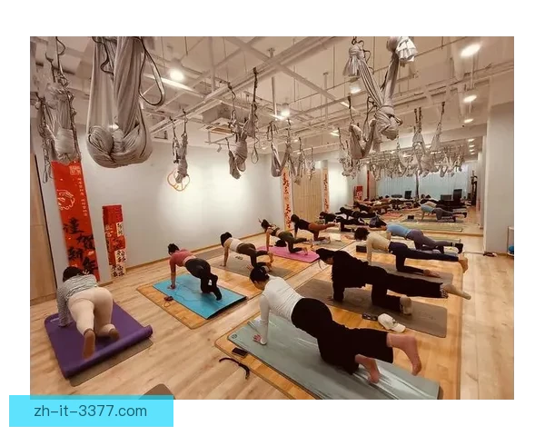 瑜伽数据分析：揭示身心平衡之道