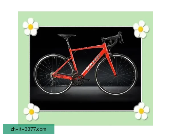 自行车入门：自学轻松掌握基本骑行技巧