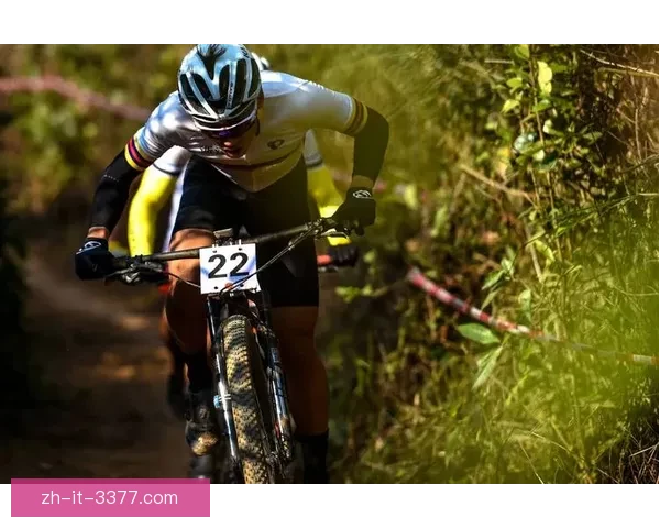 自行车赛事精彩回放：速度与激情共振