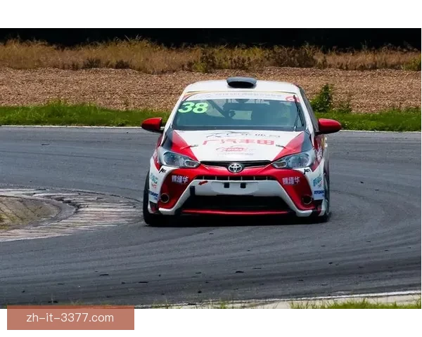 赛艇世界纪录：速度与耐力的极致挑战