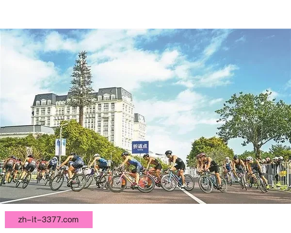 骑行乐园：挑战自行车杯赛巅峰