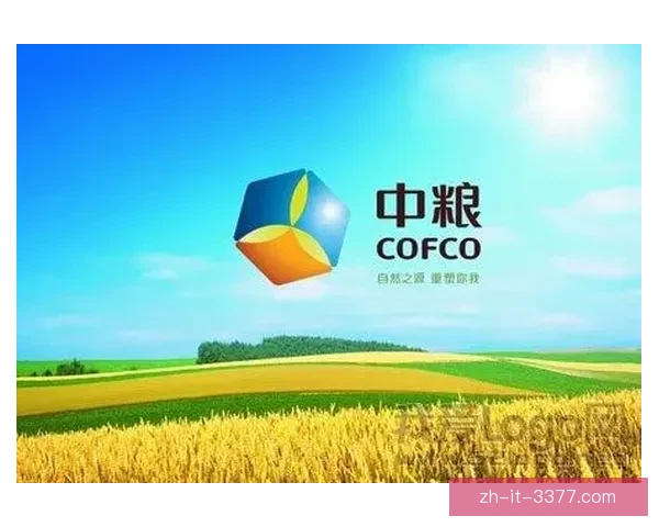 马拉松数据挖掘与分析研究：趋势解读与优化策略