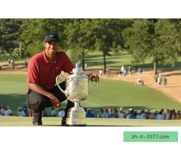 高尔夫传奇：揭秘冠军之路